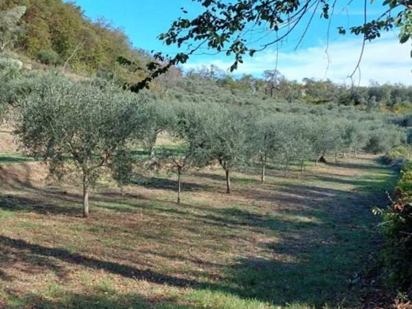 terreno agricolo in vendita a Galzignano Terme in zona Valsanzibio