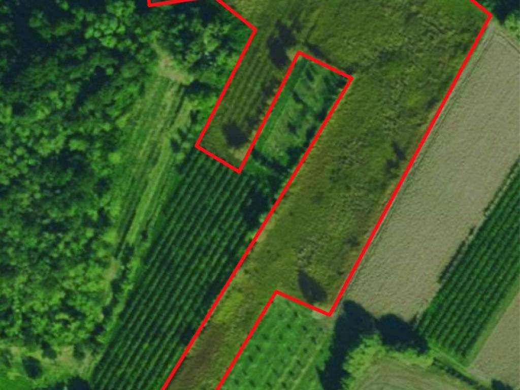 terreno agricolo in vendita a Galzignano Terme