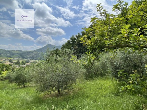 terreno agricolo in vendita a Galzignano Terme in zona Regazzoni