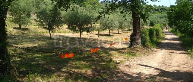 terreno agricolo in vendita a Galzignano Terme