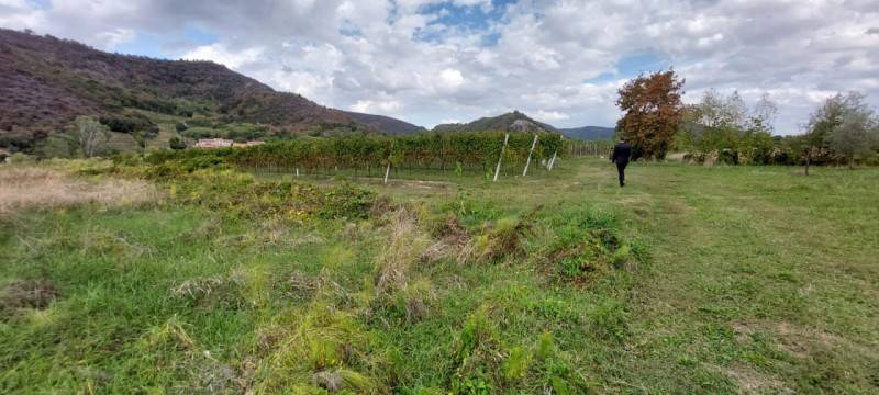 terreno agricolo in vendita a Galzignano Terme