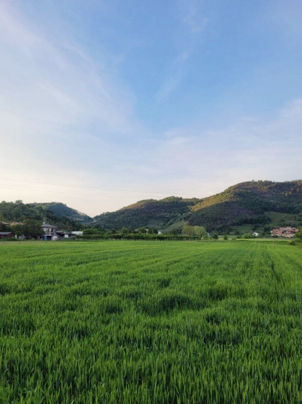 casa indipendente in vendita a Galzignano Terme