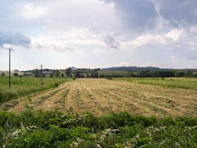 terreno agricolo in vendita a Galzignano Terme