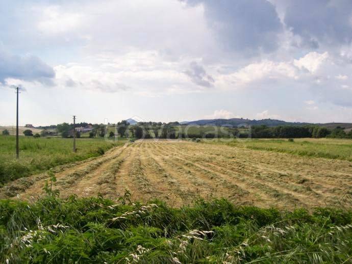 terreno agricolo in vendita a Galzignano Terme