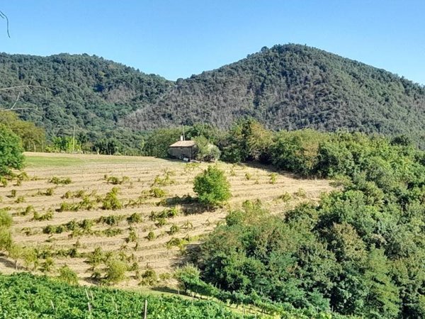 casa indipendente in vendita a Galzignano Terme
