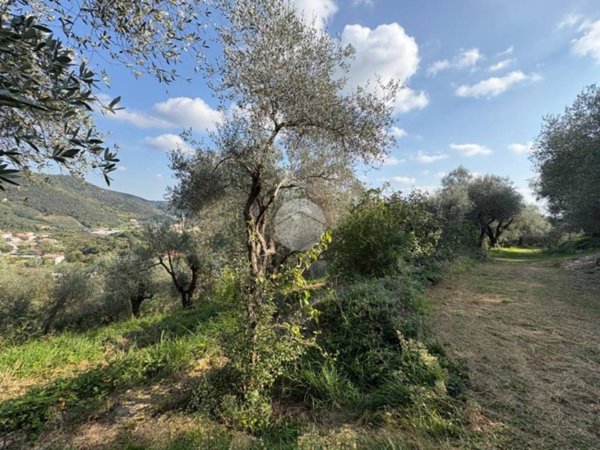 terreno agricolo in vendita a Galzignano Terme