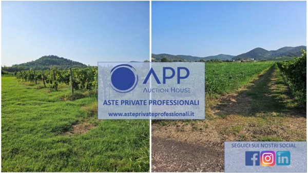 terreno agricolo in vendita a Galzignano Terme