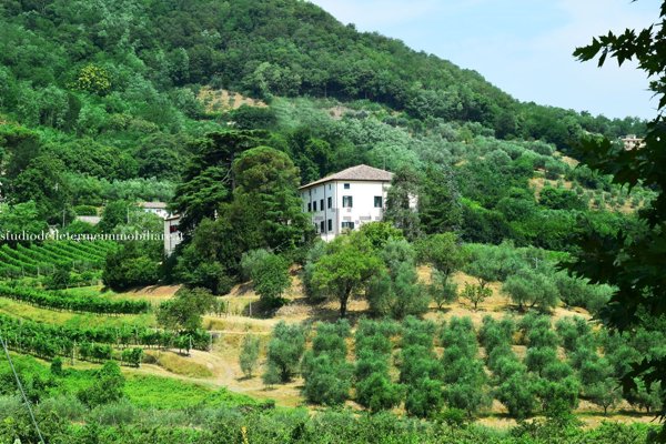 casa indipendente in vendita a Galzignano Terme