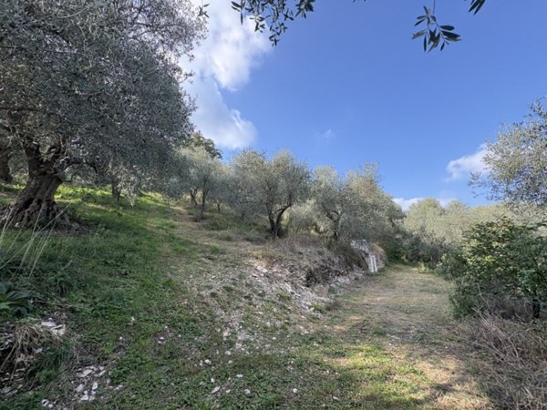 terreno agricolo in vendita a Galzignano Terme