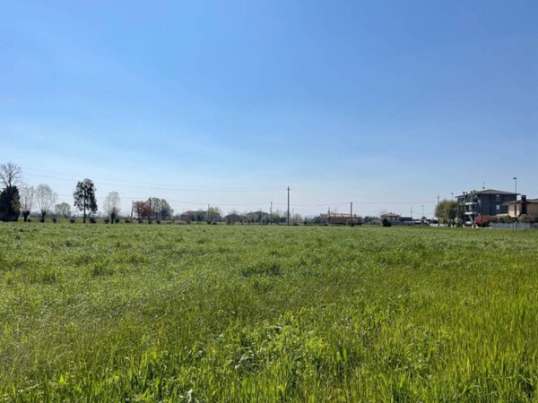 terreno agricolo in vendita a Gazzo in zona Grossa