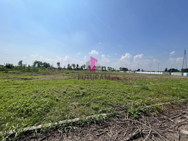 terreno agricolo in vendita a Gazzo