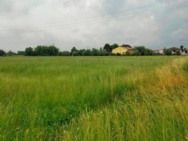 terreno edificabile in vendita a Gazzo