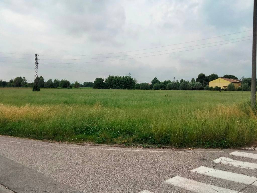 terreno edificabile in vendita a Gazzo