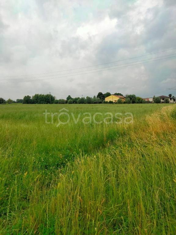 terreno edificabile in vendita a Gazzo