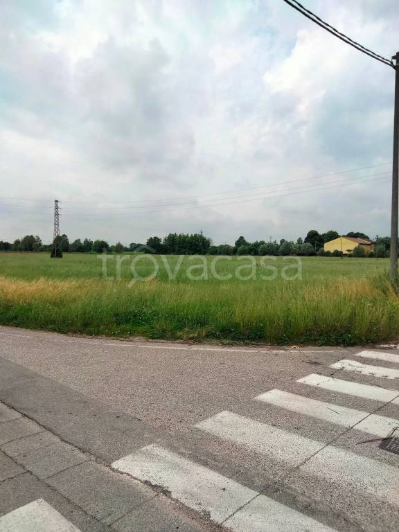 terreno edificabile in vendita a Gazzo