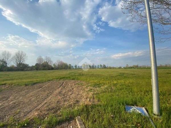 terreno edificabile in vendita a Gazzo
