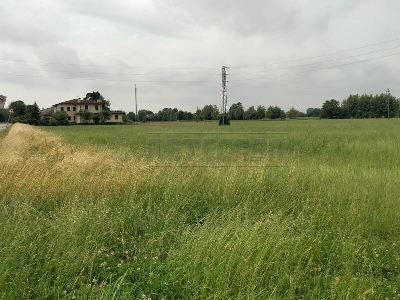 terreno edificabile in vendita a Gazzo