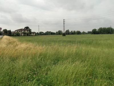 terreno edificabile in vendita a Gazzo