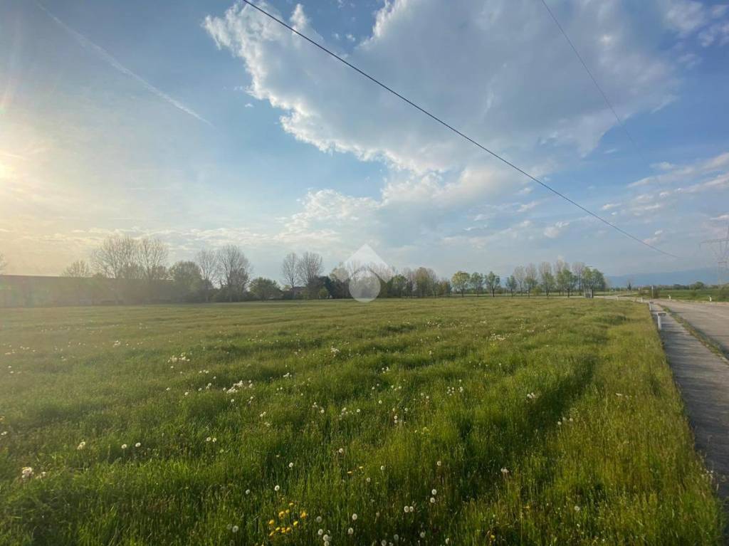 terreno edificabile in vendita a Gazzo