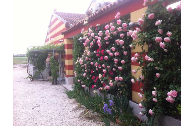 casa indipendente in vendita a Gazzo