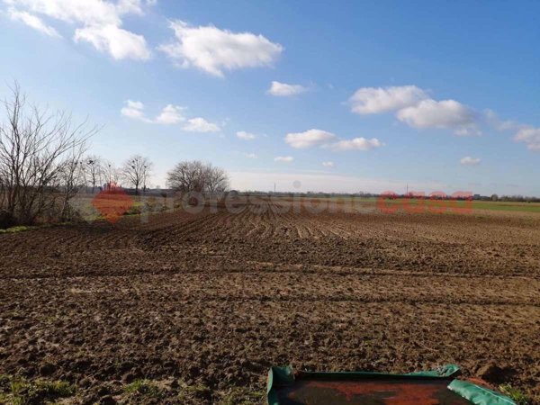 terreno edificabile in vendita a Gazzo