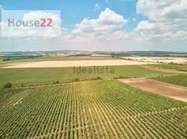 terreno edificabile in vendita a Gazzo