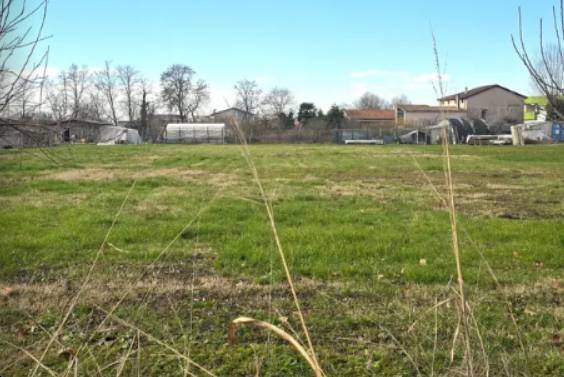 terreno agricolo in vendita a Grantorto