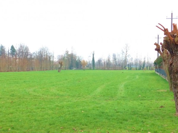 terreno edificabile in vendita a Grantorto