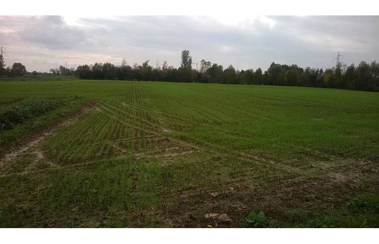 terreno agricolo in vendita a Legnaro in zona Volparo