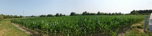 casa indipendente in vendita a Legnaro