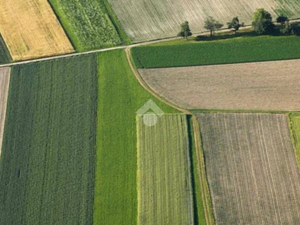 terreno agricolo in vendita a Limena