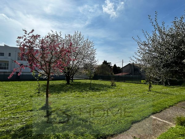terreno edificabile in vendita a Limena