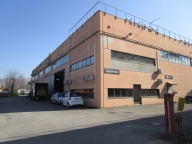 negozio in affitto a Limena