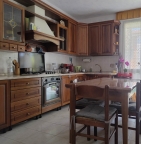 casa indipendente in vendita a Limena