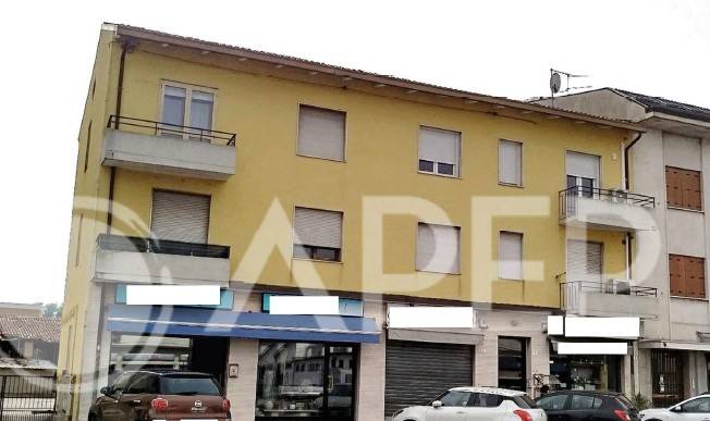appartamento in vendita a Limena