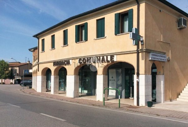 negozio in vendita a Limena