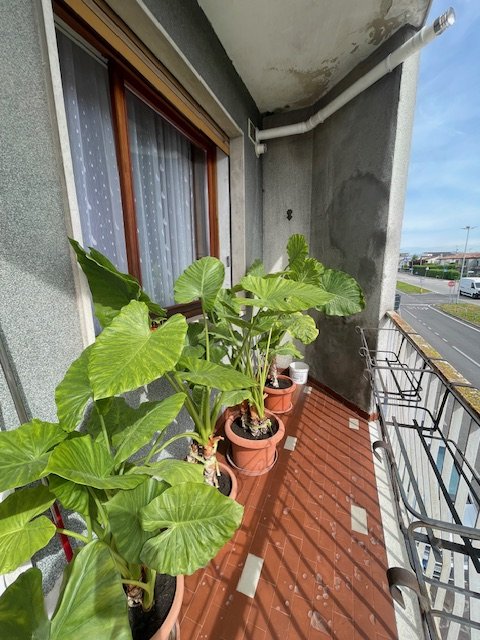 appartamento in vendita a Limena