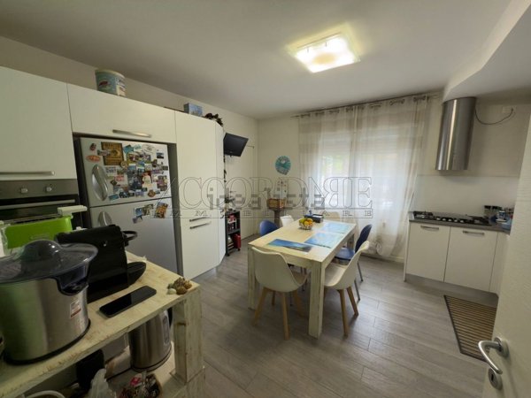 casa indipendente in vendita a Limena