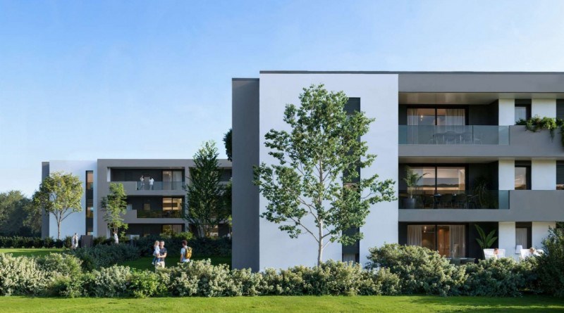 appartamento in vendita a Limena