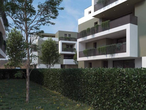 appartamento in vendita a Limena