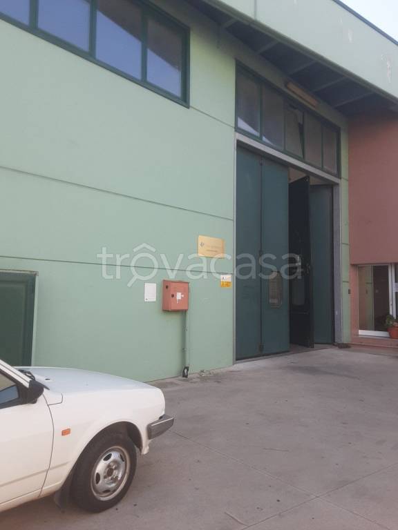 locale commerciale in vendita a Limena