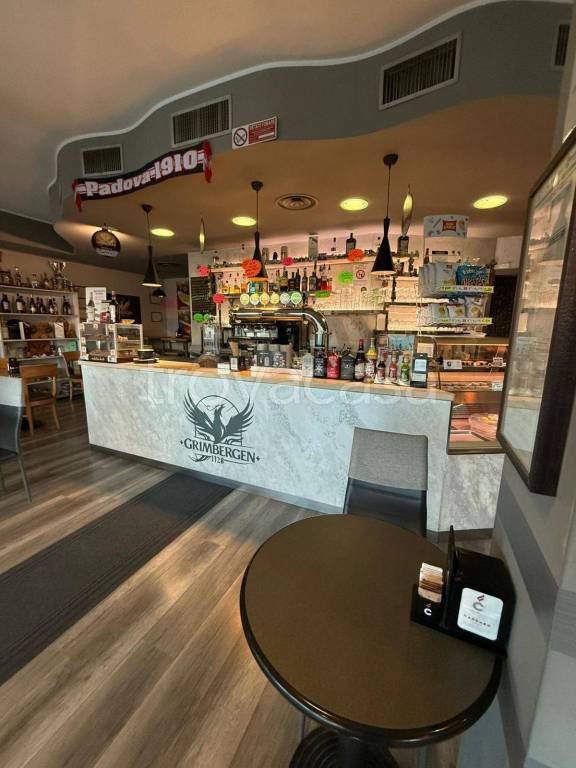 negozio in vendita a Limena