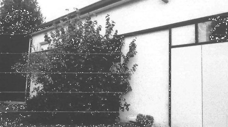 locale di sgombero in vendita a Limena