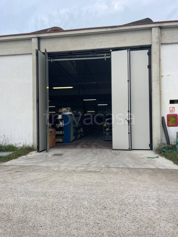 capannone in vendita a Limena