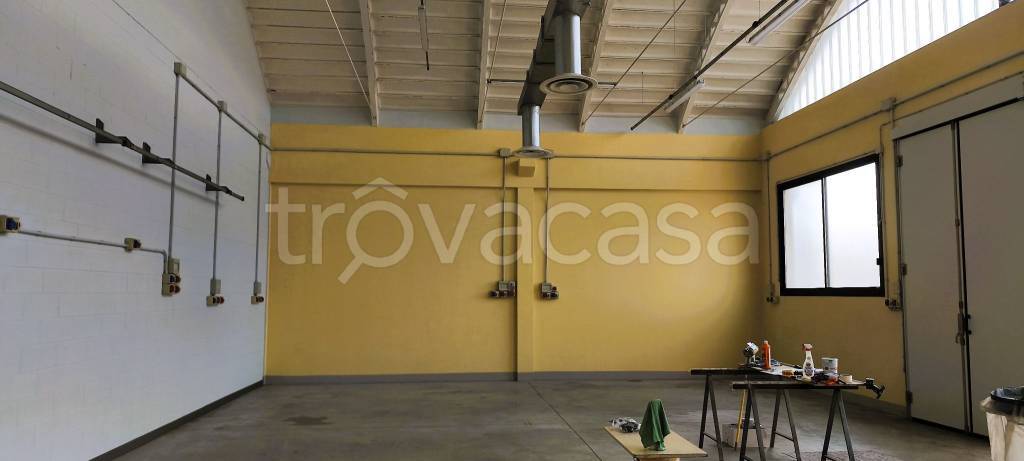 locale commerciale in vendita a Limena