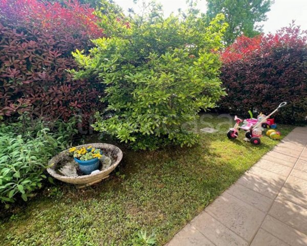 appartamento in vendita a Limena