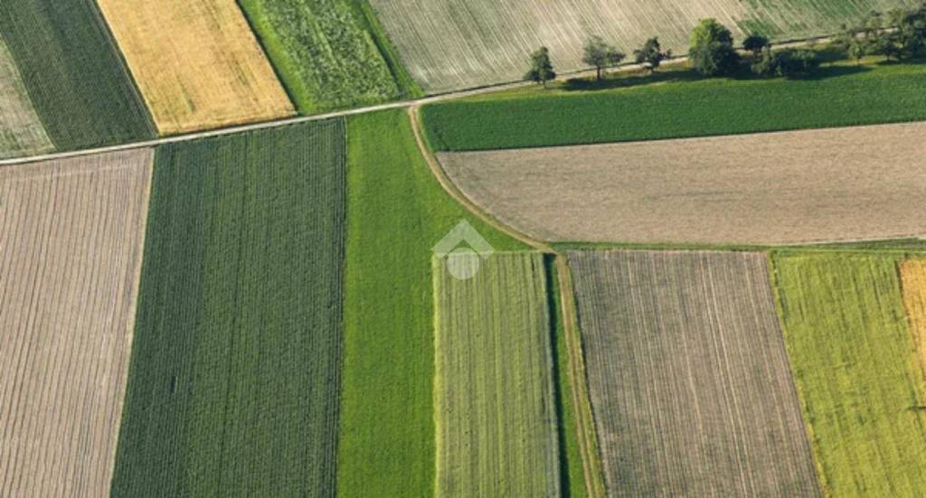 terreno agricolo in vendita a Limena
