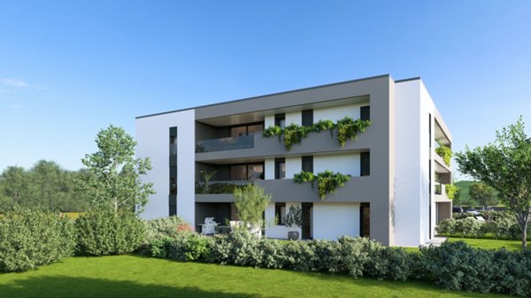 appartamento in vendita a Limena