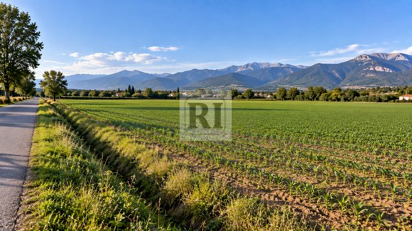 appartamento in vendita a Limena