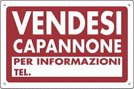 capannone in vendita a Loreggia